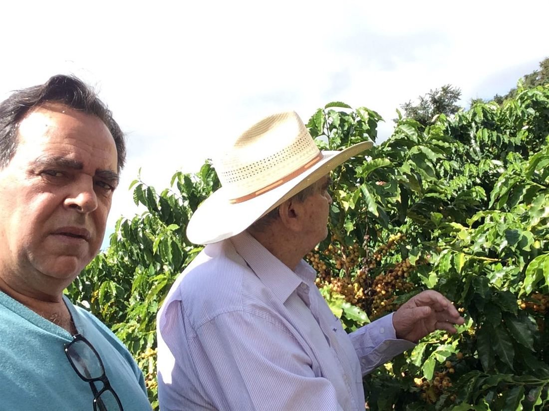 Duas gerações da família Vilela no cafezal